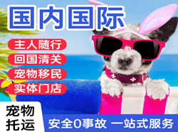 潮汕国际宠物托运 【国